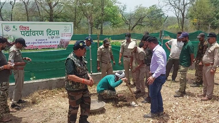 विश्व पर्यावरण दिवस पर विविध स्थानों में हुआ पौध रोपण, पर्यावरण बचाने का लिया संकल्प