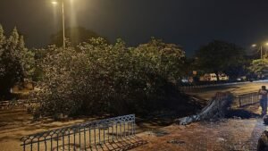 दिल्ली एयरपोर्ट पर धूल का कहर, 450 से ज़्यादा उड़ानें रद्द या लेट
