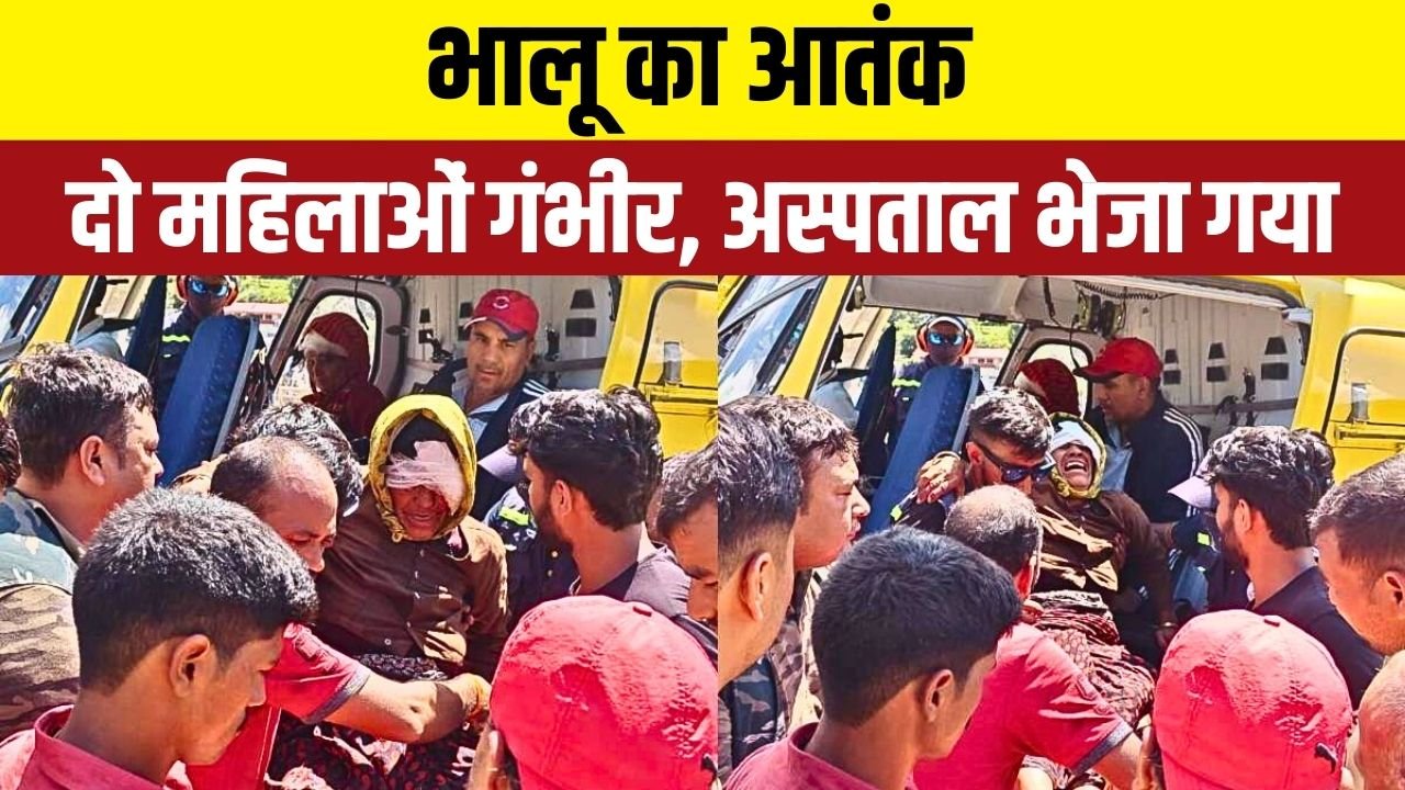 रुद्रप्रयाग में भालू की लगातार गतिविधियों के कारण ग्रामीण क्षेत्र में सुरक्षा बढ़ाने की मांग उठी