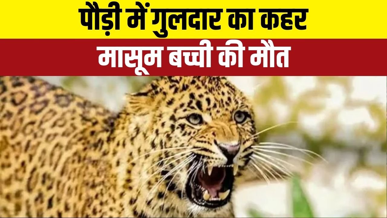 उत्तराखंड के पर्वतीय गांव में गुलदार ने खेल रही बच्ची को लिया अपना शिकार