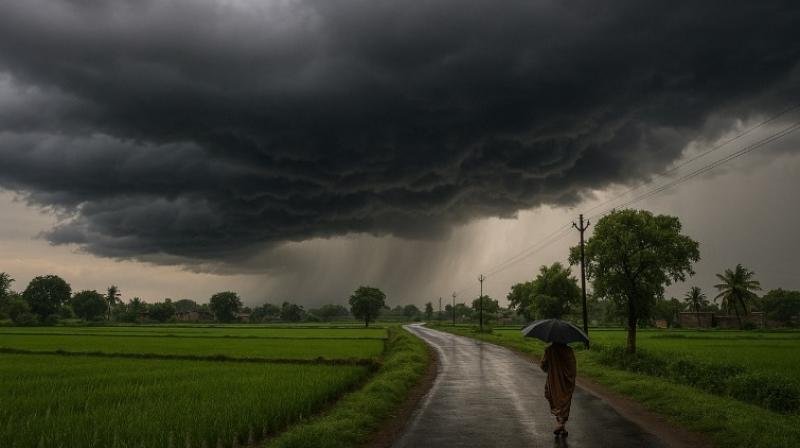 -पंजाब में सुबह-सुबह तेज बारिश, बदला मौसम का मिजाज, यहां जानें मौसम का हाल.