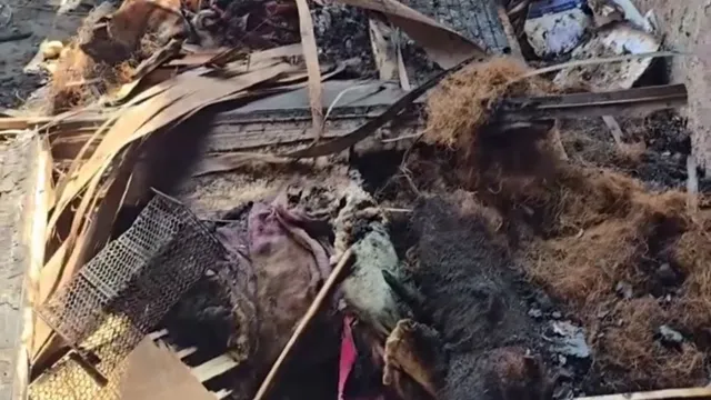 करनाल में शार्ट सर्किट से मकान में आग, सारा सामान जलकर राख